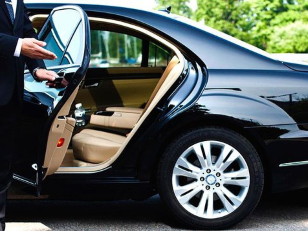 Professional chauffeur meeting guest at hotel