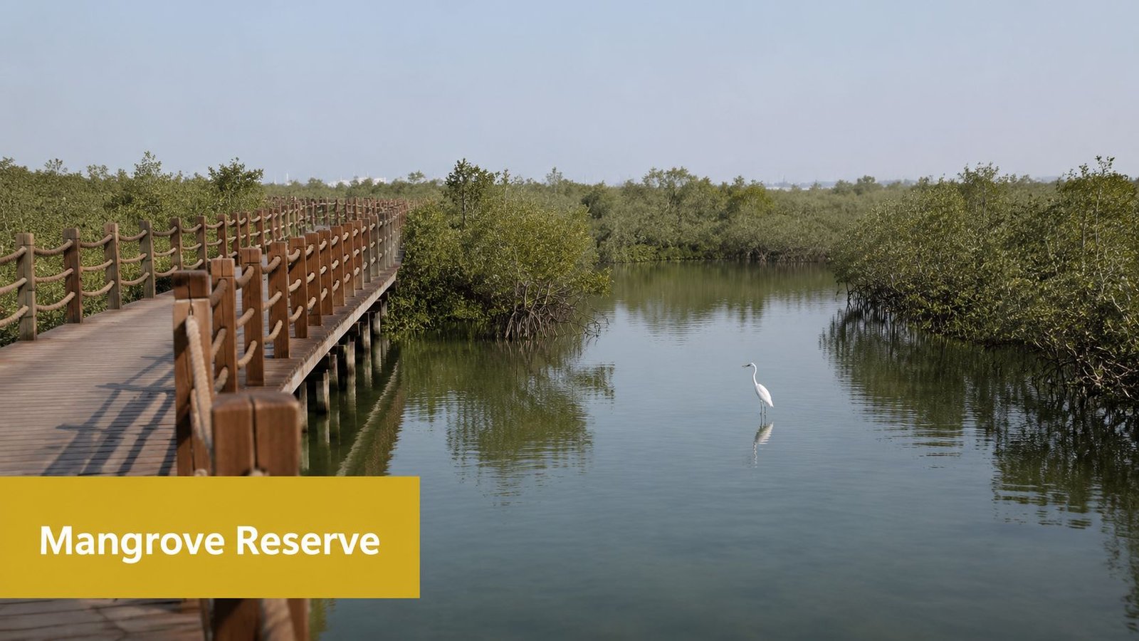 A wooden boardwalk winding through a peaceful mangrove forest reserve with a white egret standing in water.